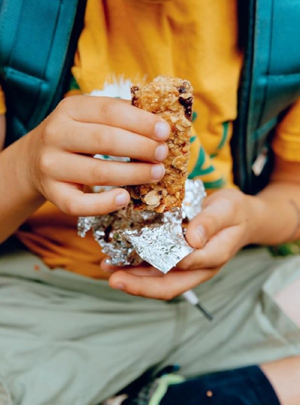 Homemade granola bars 