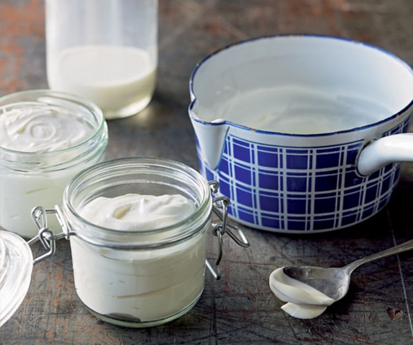Homemade Greek yoghurt recipe Eat Your Books