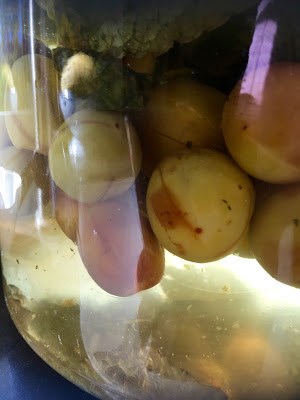  Homemade plum liquor (Zìzhì méizijĭu / 自製梅子酒)