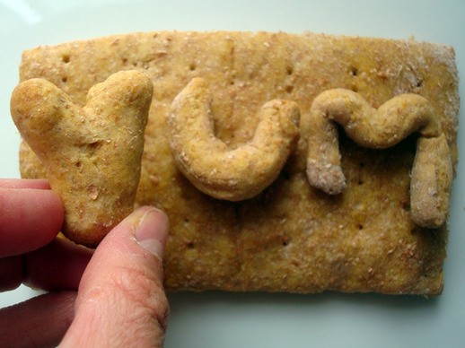Homemade pumpkin graham crackers