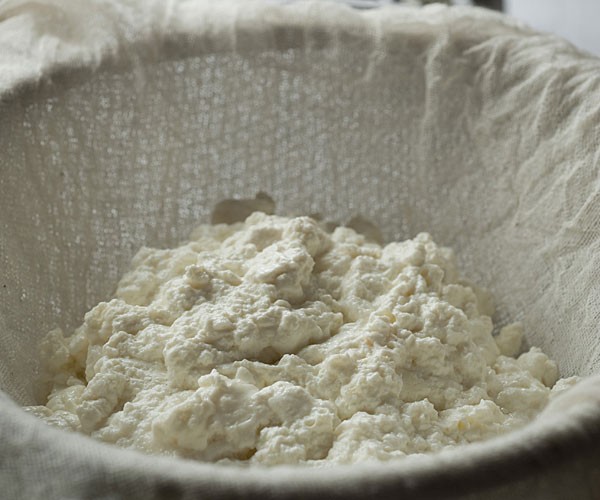 Homemade ricotta