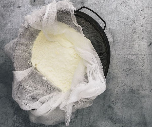 Homemade ricotta