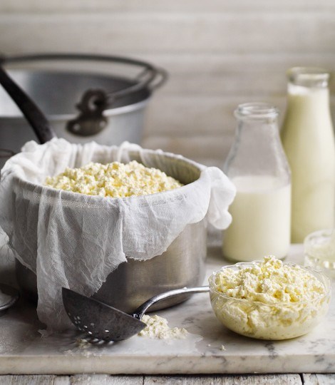 Homemade ricotta 