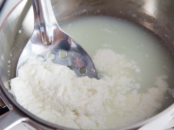 Homemade ricotta