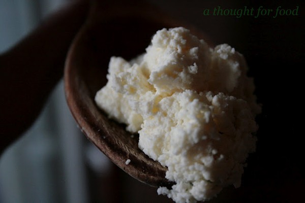Homemade ricotta