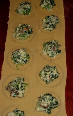 Homemade spinach mushroom ravioli