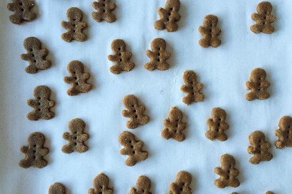Homemade Teddy Grahams