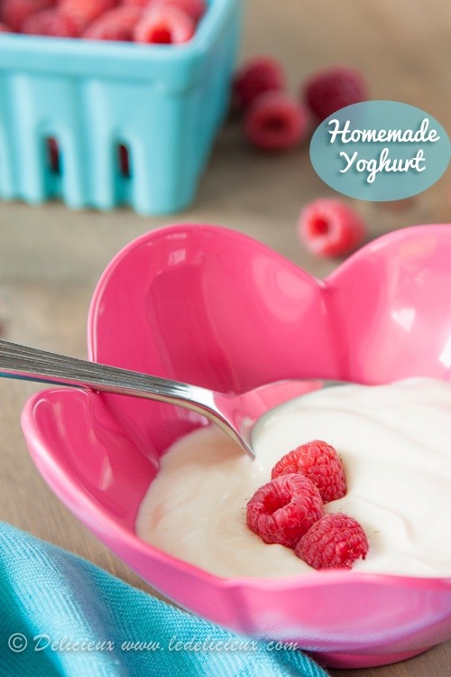 Homemade yoghurt (without a yoghurt maker in 3 easy steps)