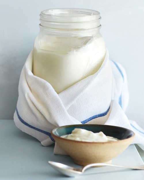 Homemade yogurt