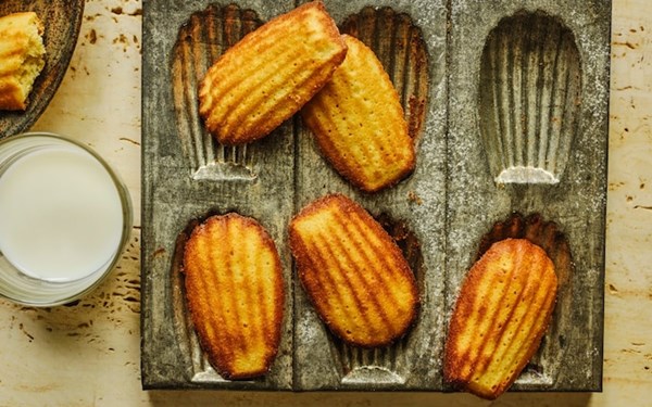 Honey and orange blossom madeleines