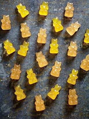 Honey bears