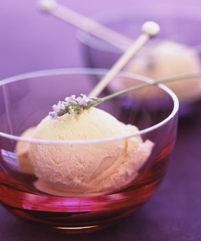 Honey lavender ice cream