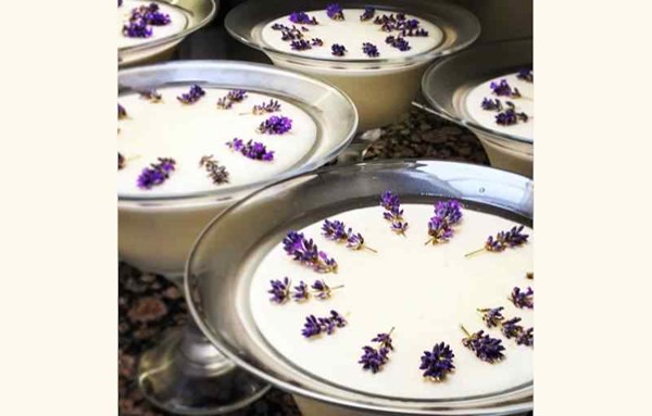 Honey mousse with lavender jelly