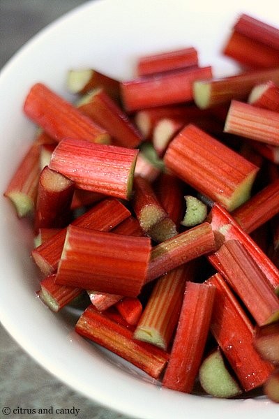 Honey rhubarb sponge pudding