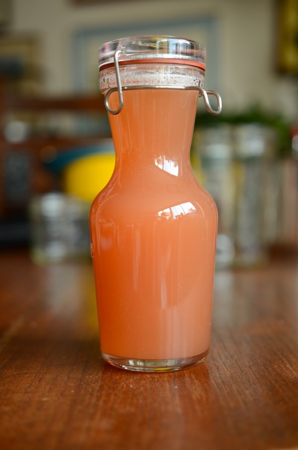 Honey sweetened rhubarb Meyer lemon cordial
