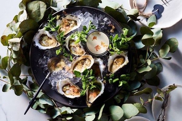 Horseradish cream oysters