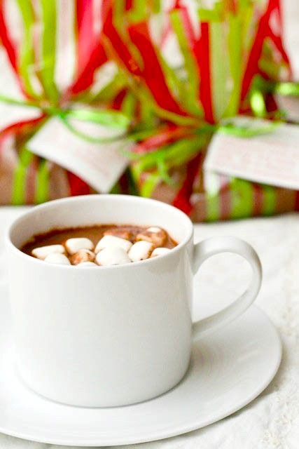 Hot chocolate mix