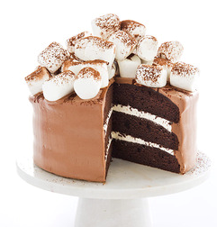 Hot cocoa cake
