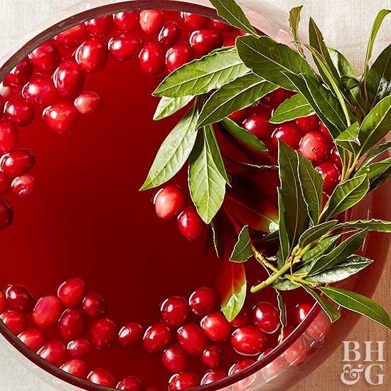 Hot cranberry punch 
