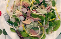 Hot smoked trout salad