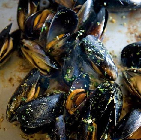 Hotplate mussels with garlic and fino sherry (Mejillones)