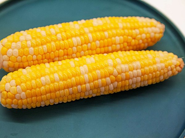How to boil corn on the cob