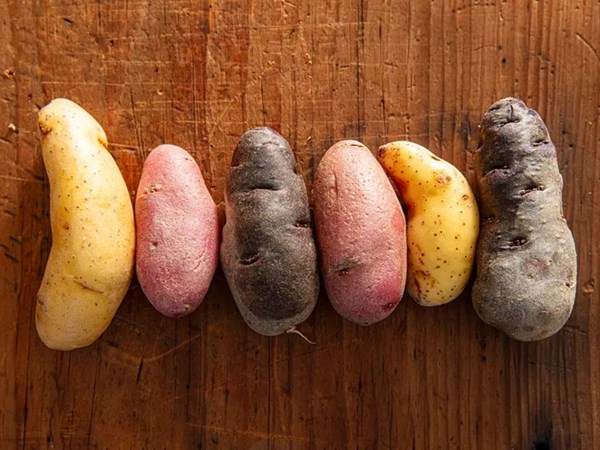 How to boil potatoes