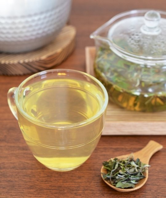 How to brew white tea
