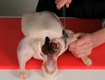 How to butcher a duck