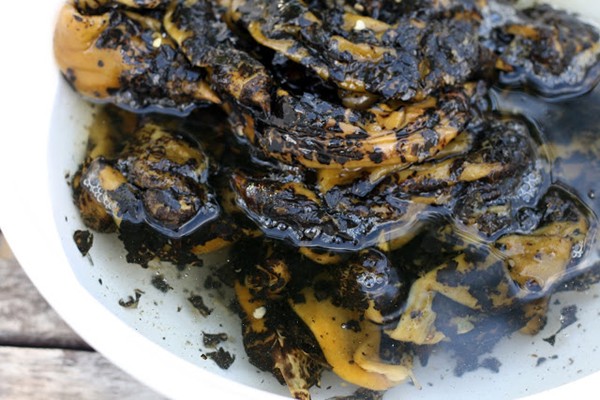 How-to: clean & freeze fire roasted Hatch green chiles