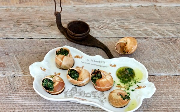 How to clean snail shells