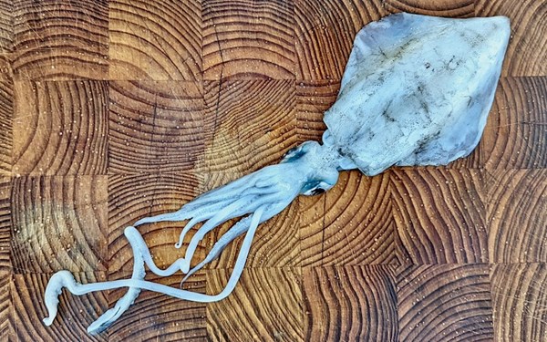 How to clean squid