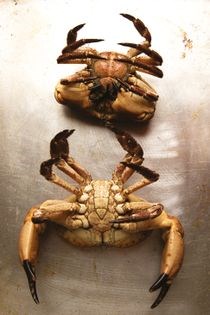 How to cook crab