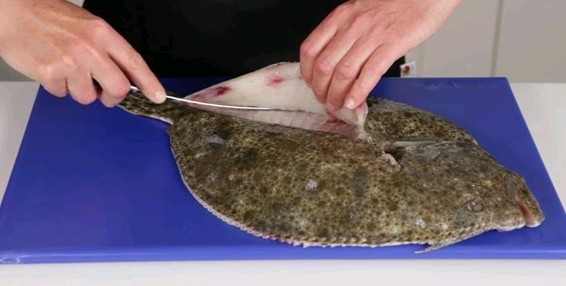 How to fillet a flat fish