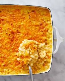 How to freeze mac and cheese
