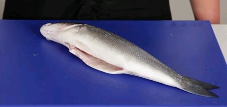 How to gut a fish