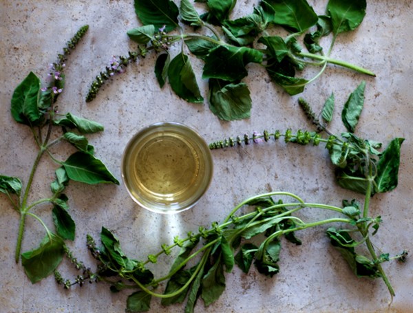 How to make fresh tulsi tea