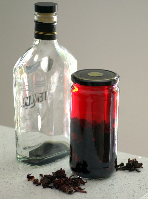How to make jamaica-infused tequila