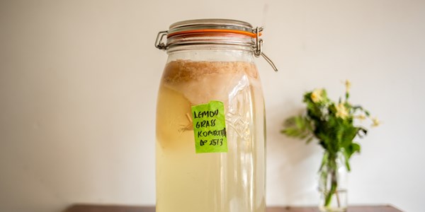How to make kombucha