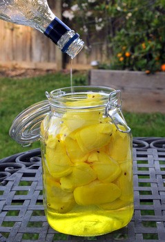 How to make Peep-infused vodka