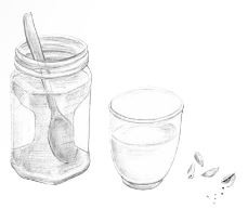 How to make seed milk