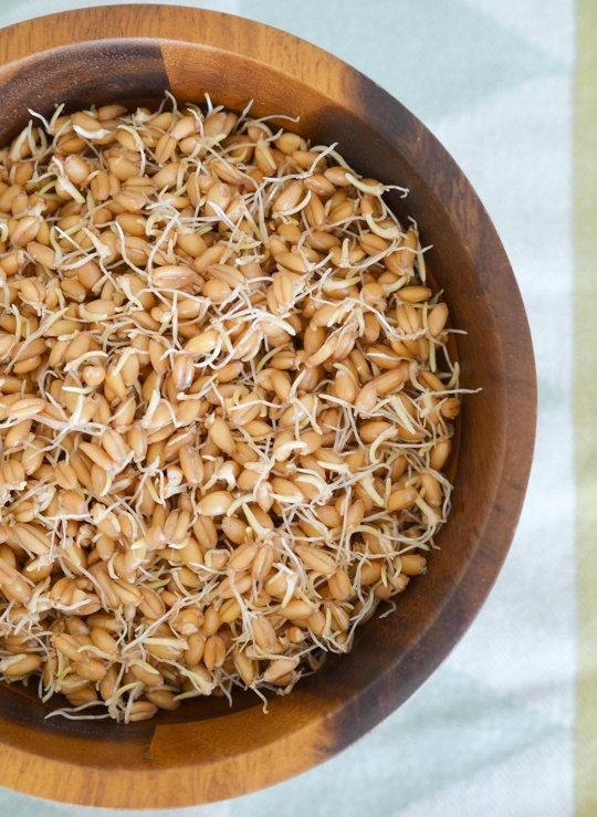 How to make sprouted grains