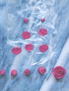 How to make sugarpaste roses
