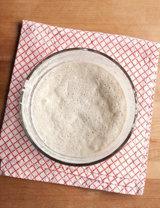 How to make your own sourdough starter