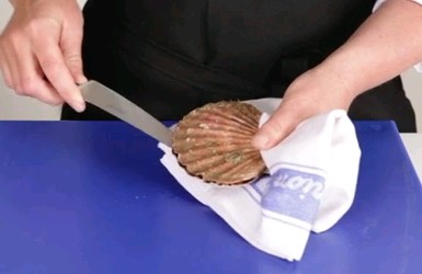 How to open a scallop