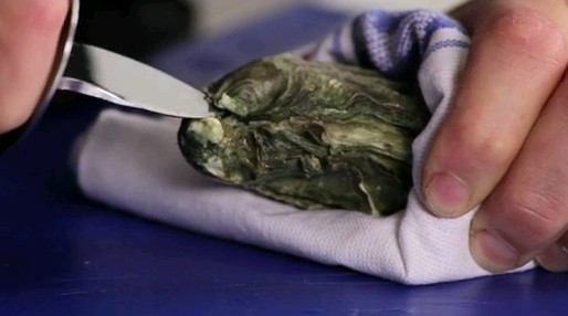 How to open an oyster