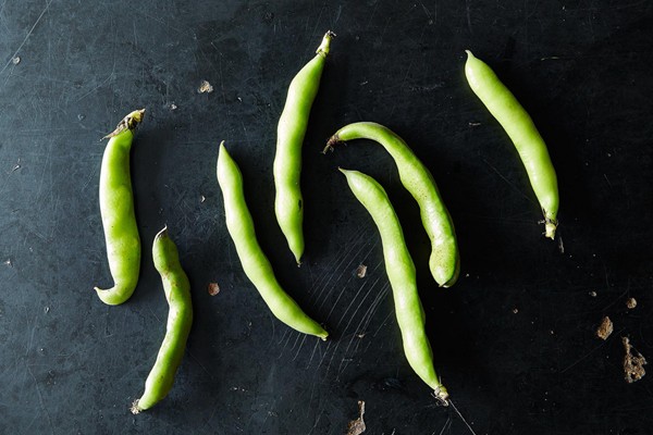 How to prep fava beans
