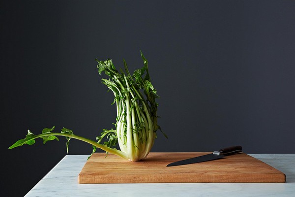 How to prep puntarelle