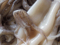 How to prepare squid with little fuss