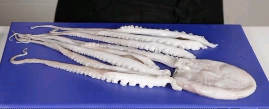 How to section an octopus